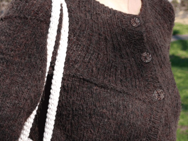 brownSweater1010283